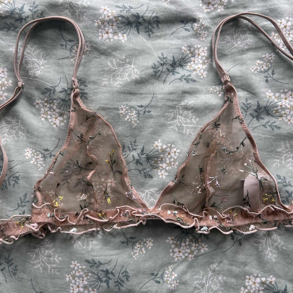 Embroidered Sheer Triangle Bralette